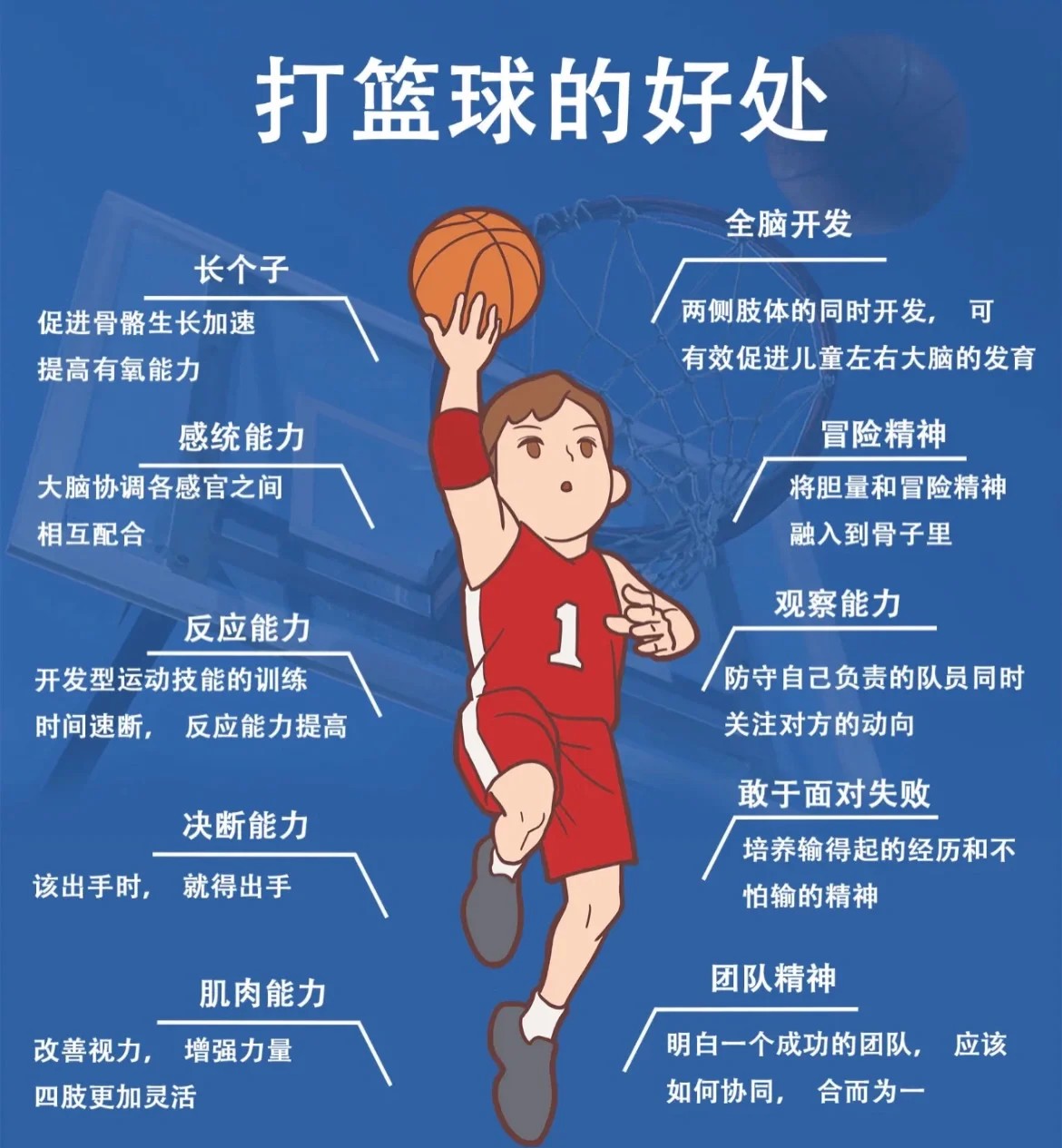 哪里可以找到专业的篮球训练支持资源
